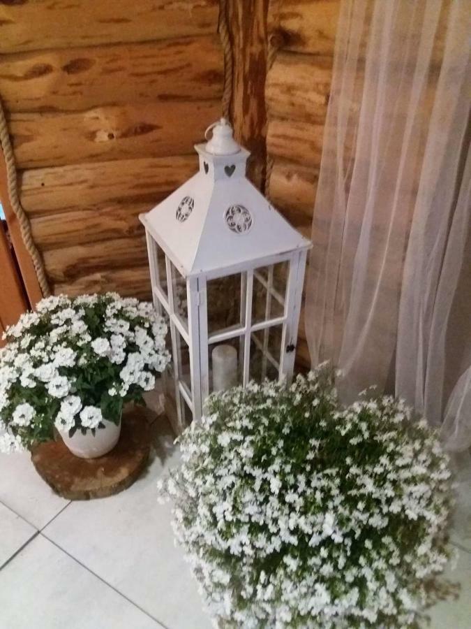 Studio Relax Kolnik Luaran gambar